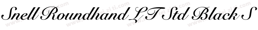 Snell Roundhand LT Std Black Script字体转换